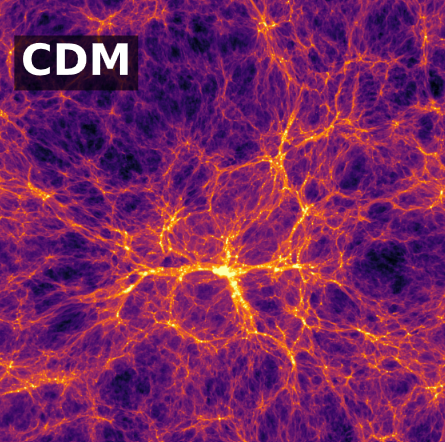 Projected cold dark matter density from a Sherwood simulation